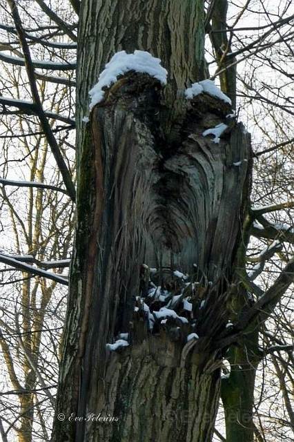 Conciliabule sous la neige.jpg
